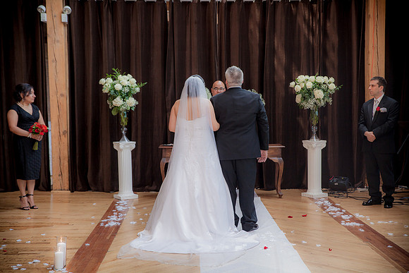 Dora + Frank - Wedding-1084